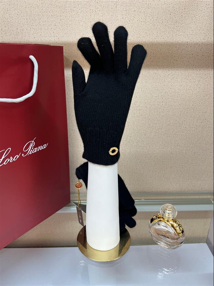 2026116112024212 100